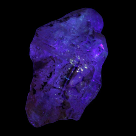 Fenster Diamond Quartz with petroleum fluorescence 54mm 30g in UV light - Rocks and Things Store
