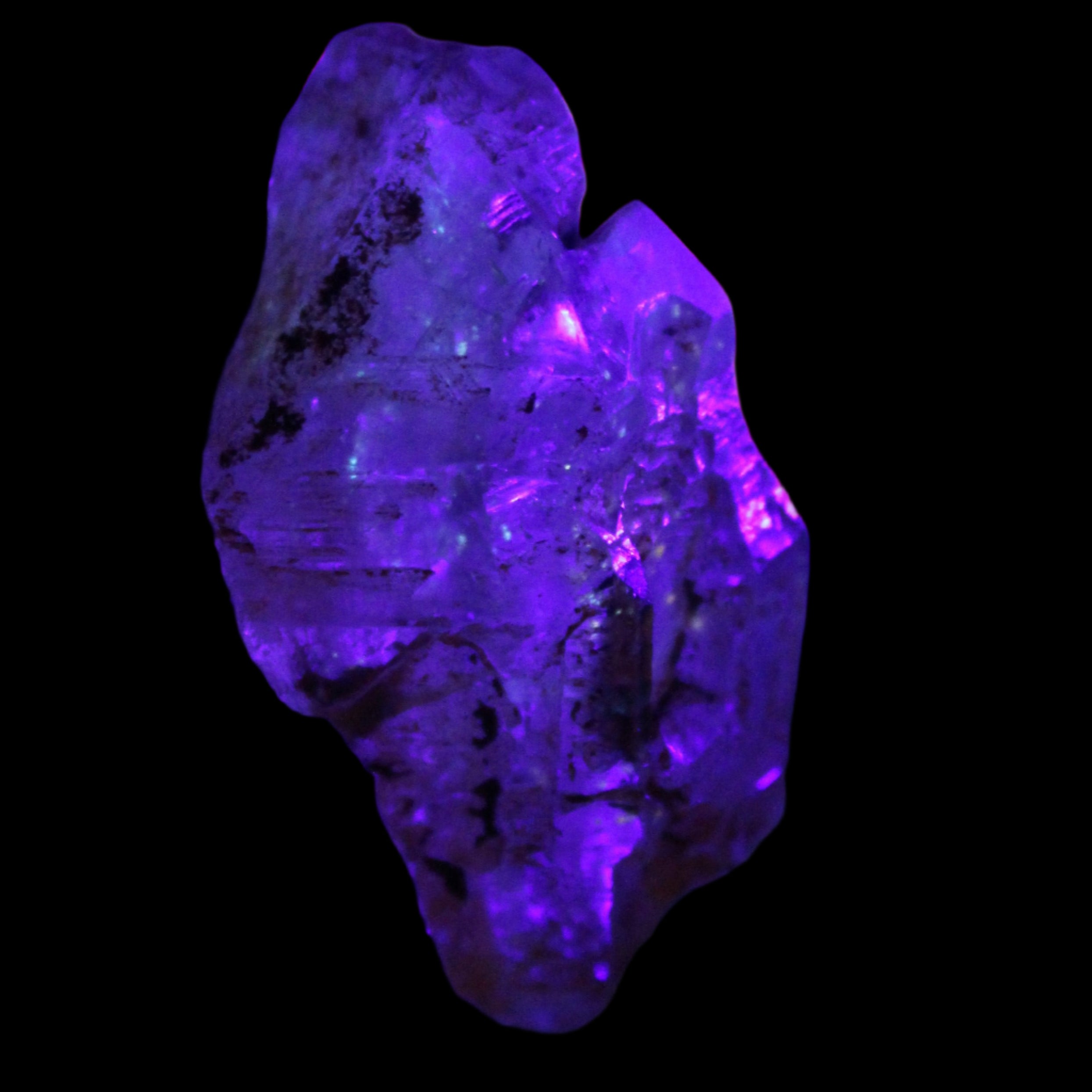Fenster Diamond Quartz with petroleum fluorescence 54mm 30g in UV light - Rocks and Things Store