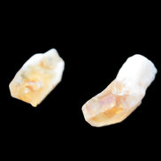 Citrine 2/3 crystals from Tibet 22-40mm 15g Rocks and Things Store