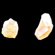 Citrine 2/3 crystals from Tibet 22-40mm 15g Rocks and Things Store