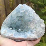 Celestite geode 2061g Rocks and Things