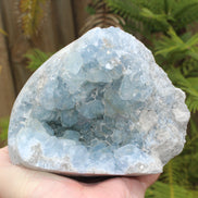 Celestite geode 2061g Rocks and Things