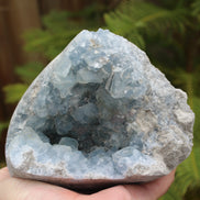 Celestite geode 2061g Rocks and Things