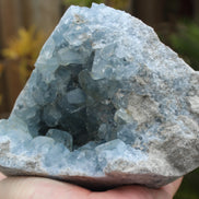 Celestite geode 2061g Rocks and Things