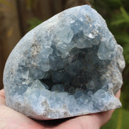 Celestite geode 2061g Rocks and Things