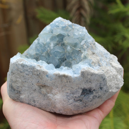 Celestite geode 2061g Rocks and Things