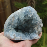 Celestite geode 2061g Rocks and Things