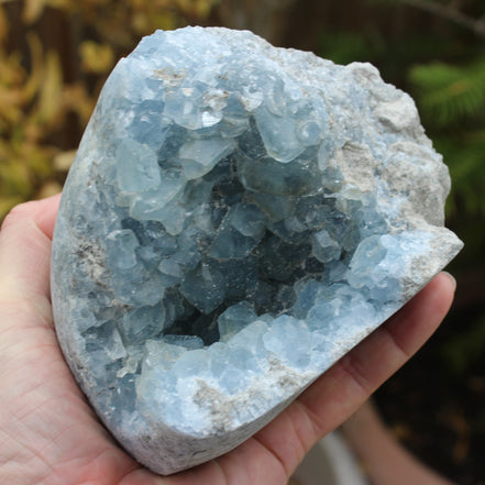 Celestite geode 2061g Rocks and Things