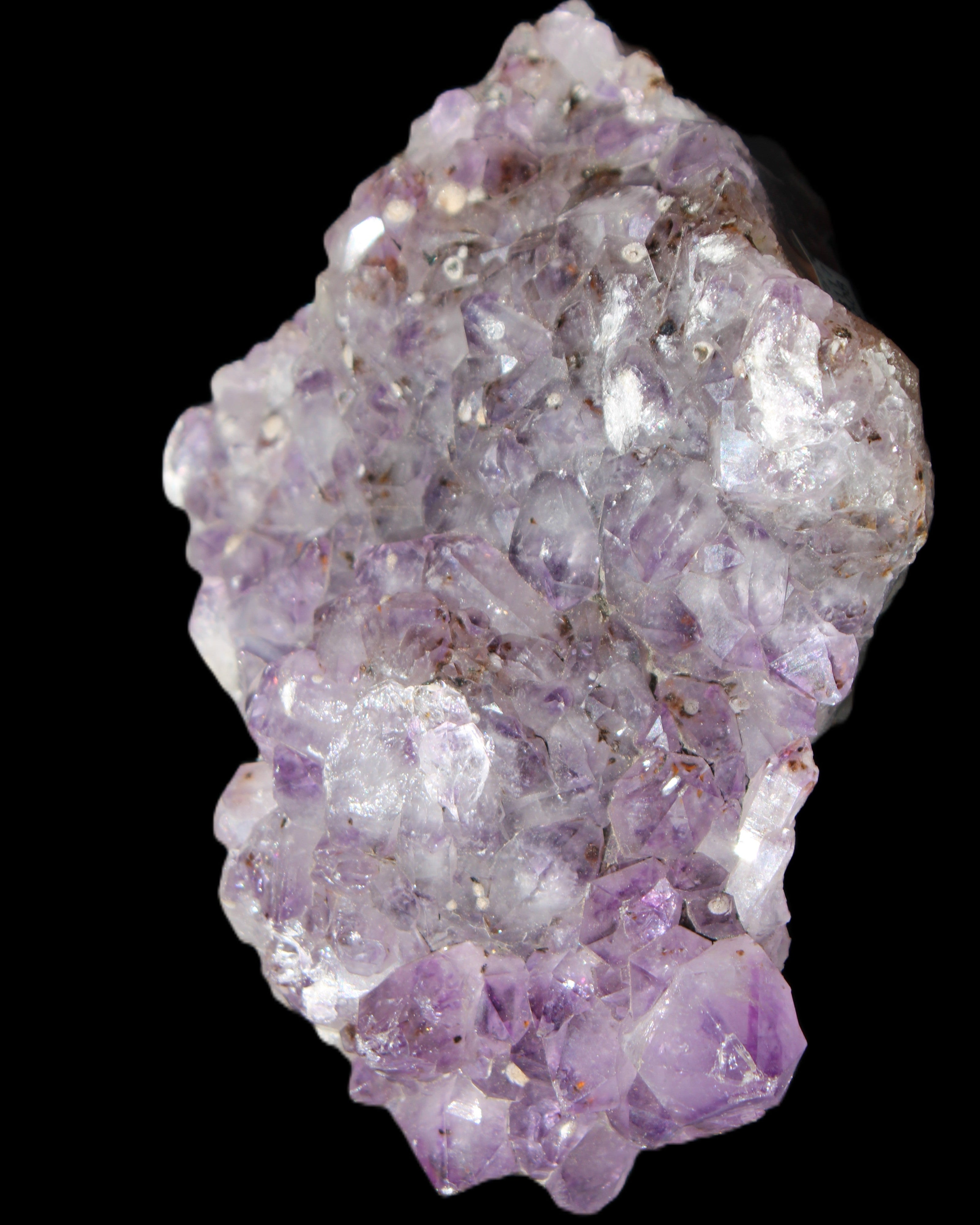 Amethyst geode cluster 517g in sunlight - Rocks and Things Store