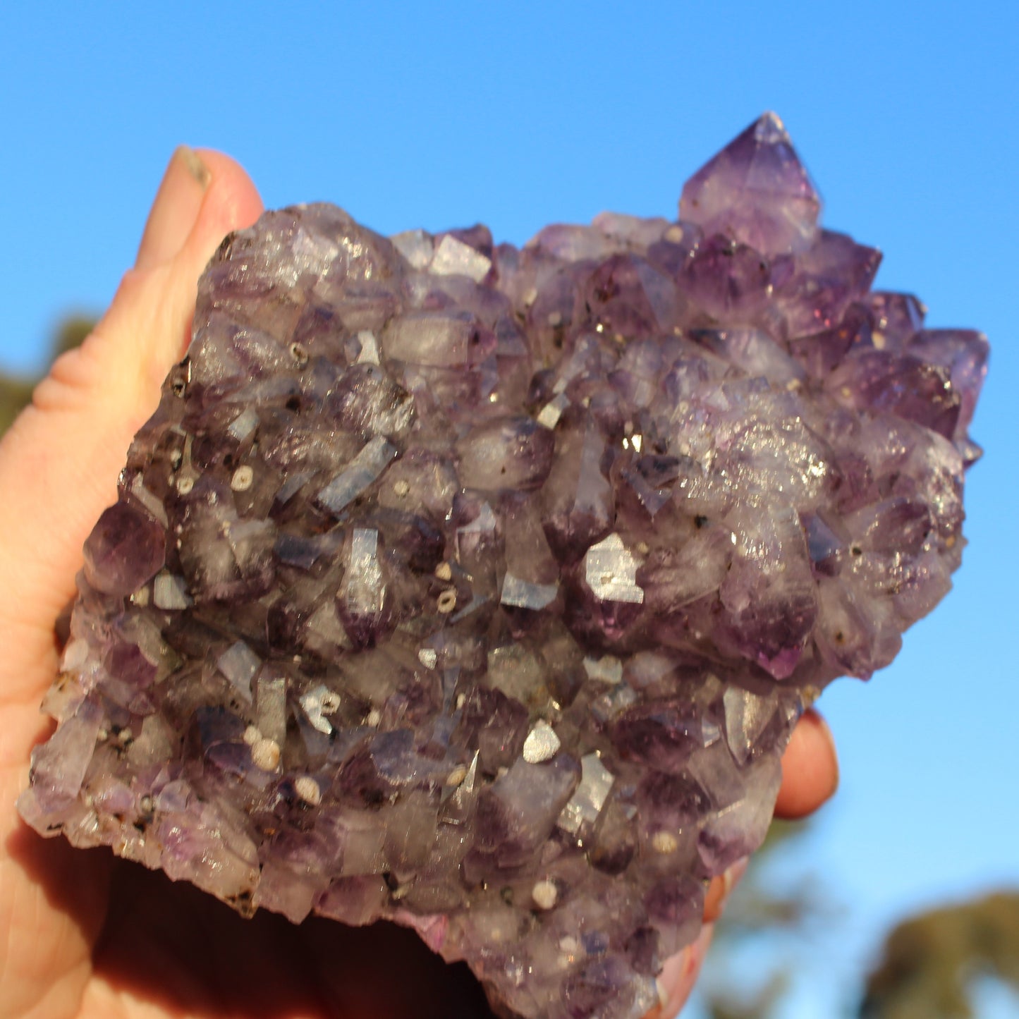 Amethyst geode cluster 517g