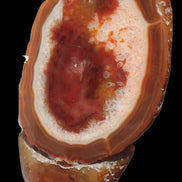 Agate banded lavender slice from Brazil 747g - Rocks and Things Store