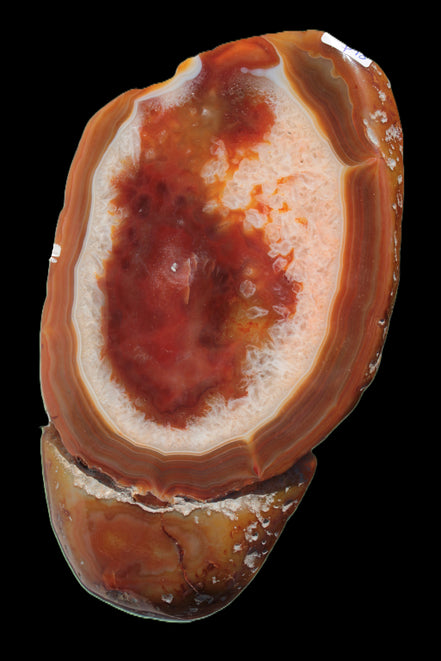 Agate banded lavender slice from Brazil 747g - Rocks and Things Store
