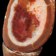 Agate banded lavender slice from Brazil 747g - Rocks and Things Store