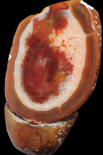 Agate banded lavender slice from Brazil 747g - Rocks and Things Store