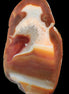 Agate banded lavender slice from Brazil 747g - Rocks and Things Store