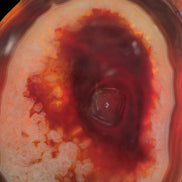 Agate banded lavender slice from Brazil 747g - Rocks and Things Store