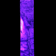 Purple Fluorite obelisk 715g in UV light - Rocks and Things Store