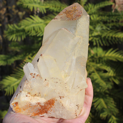 Quartz crystal cluster 1370g Rocks and Things