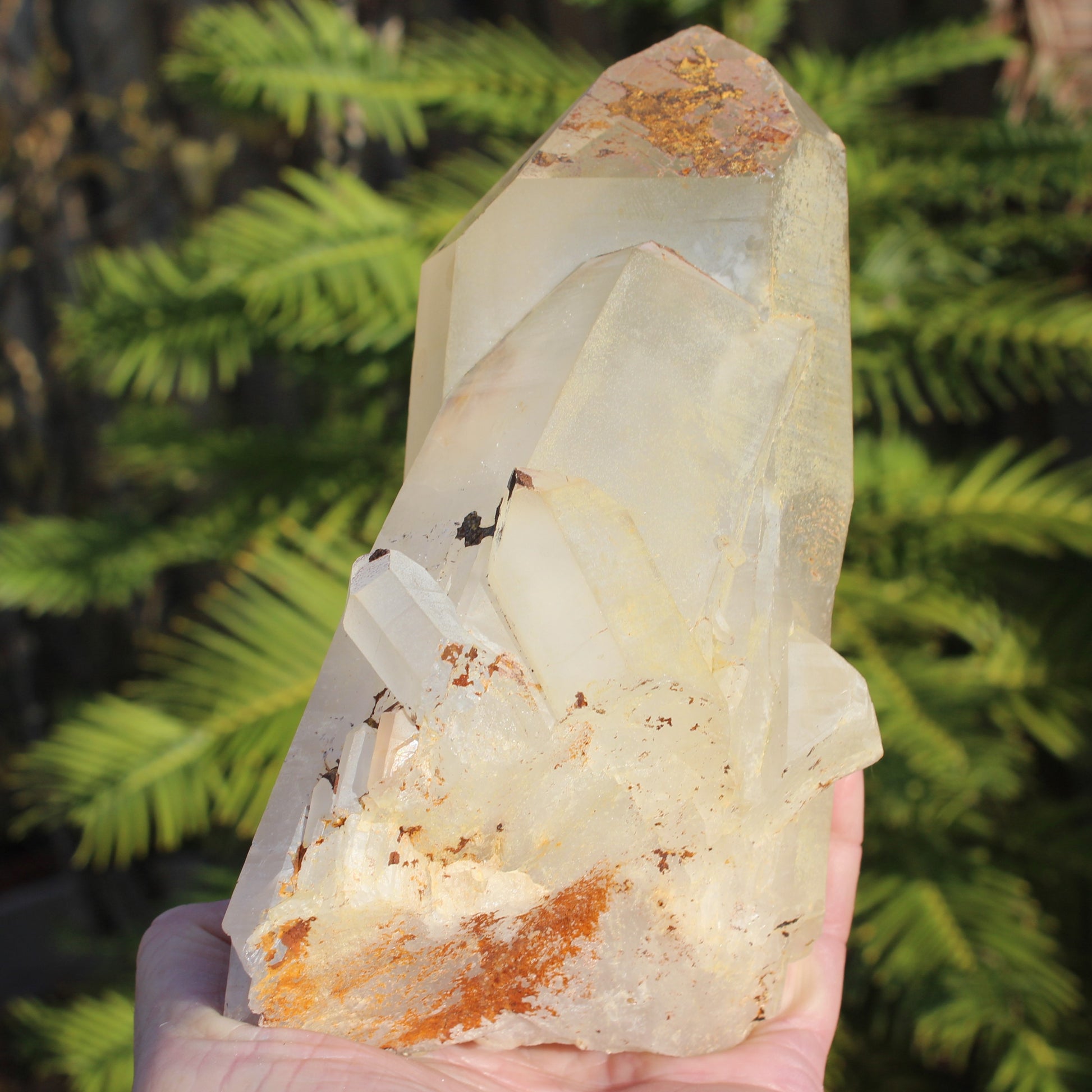 Quartz crystal cluster 1370g Rocks and Things