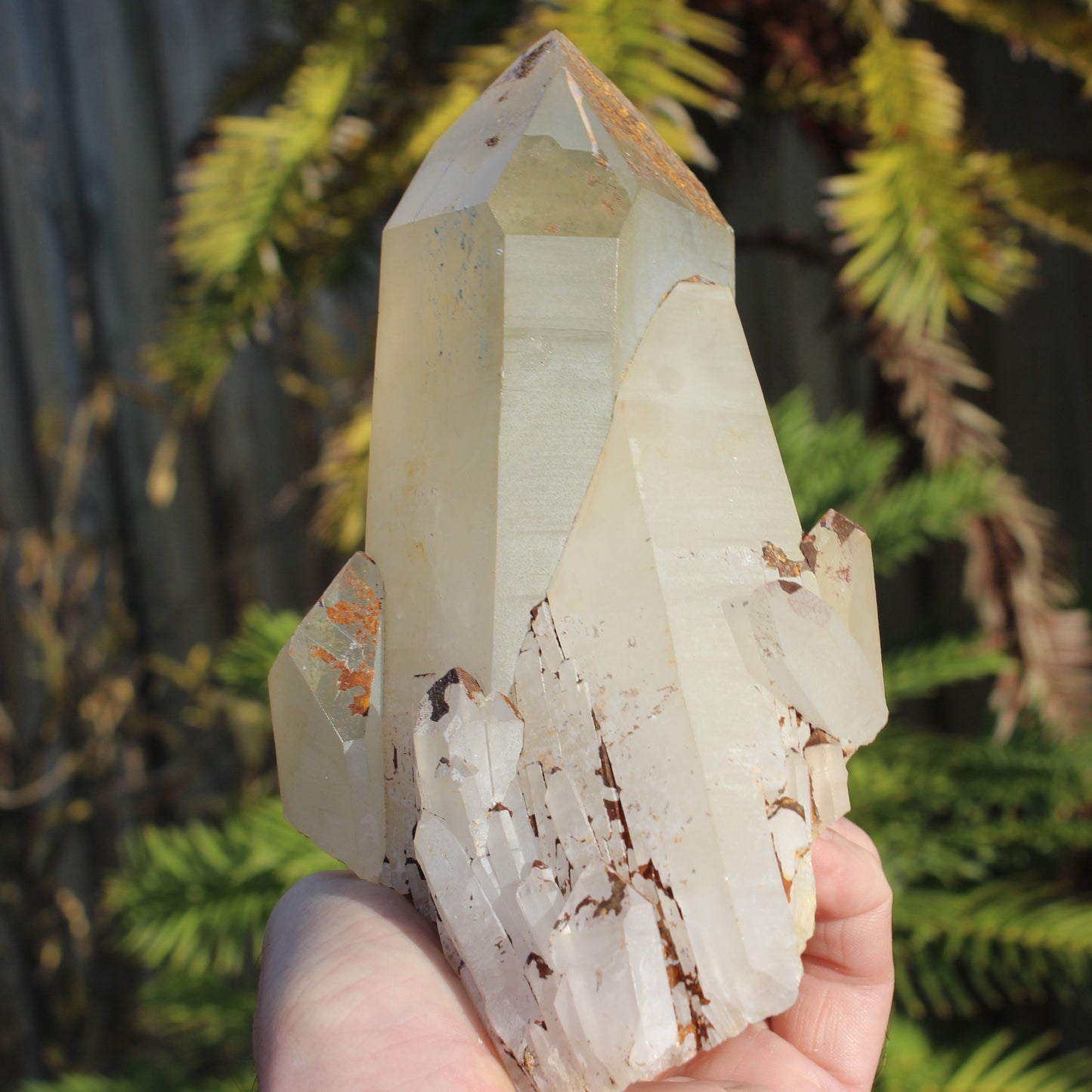 Quartz crystal cluster 1370g Rocks and Things