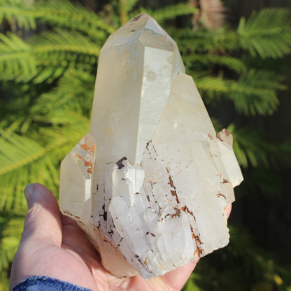 Quartz crystal cluster 1370g Rocks and Things