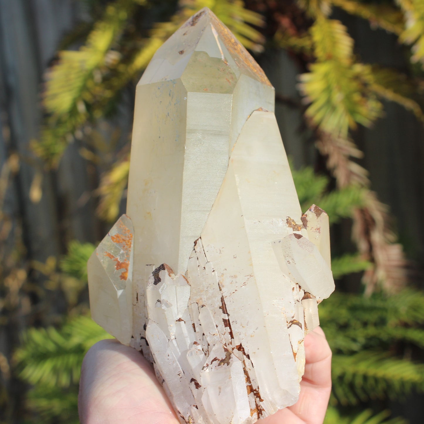 Quartz crystal cluster 1370g Rocks and Things