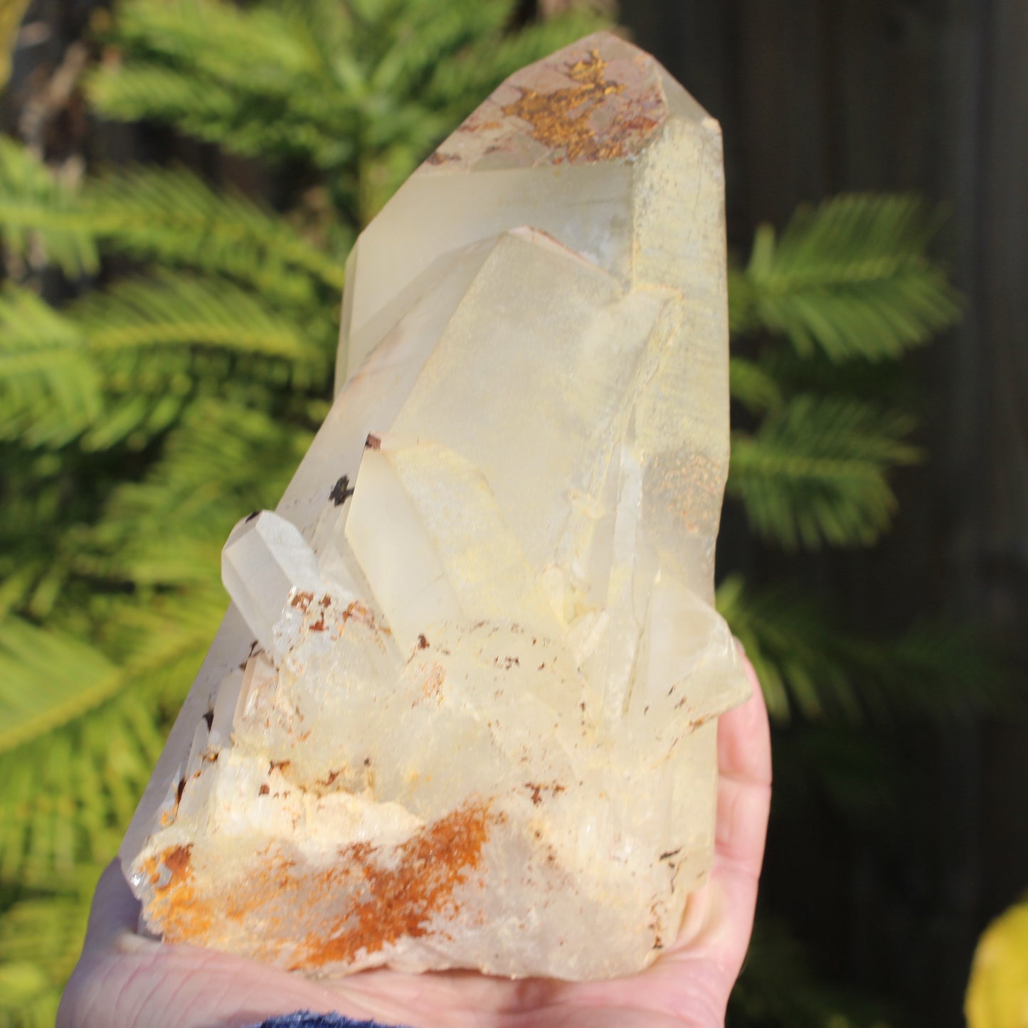 Quartz crystal cluster 1370g Rocks and Things