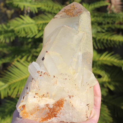 Quartz crystal cluster 1370g Rocks and Things