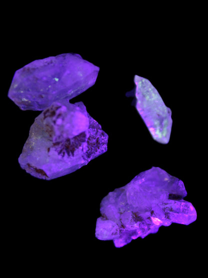 Fenster Quartz with fluorescence 4/5 crystals 5-8g in UV light