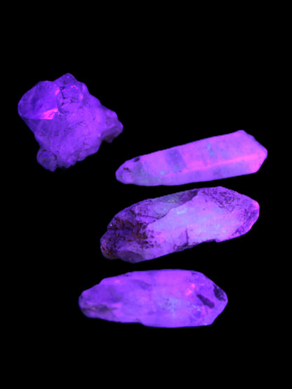 Fenster Quartz with fluorescence 4/5 crystals 5-8g in UV light