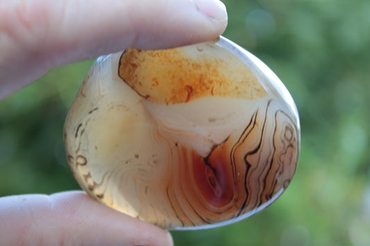 Crazy Lace Banded Sardonyx Agate 94g Rocks and Things