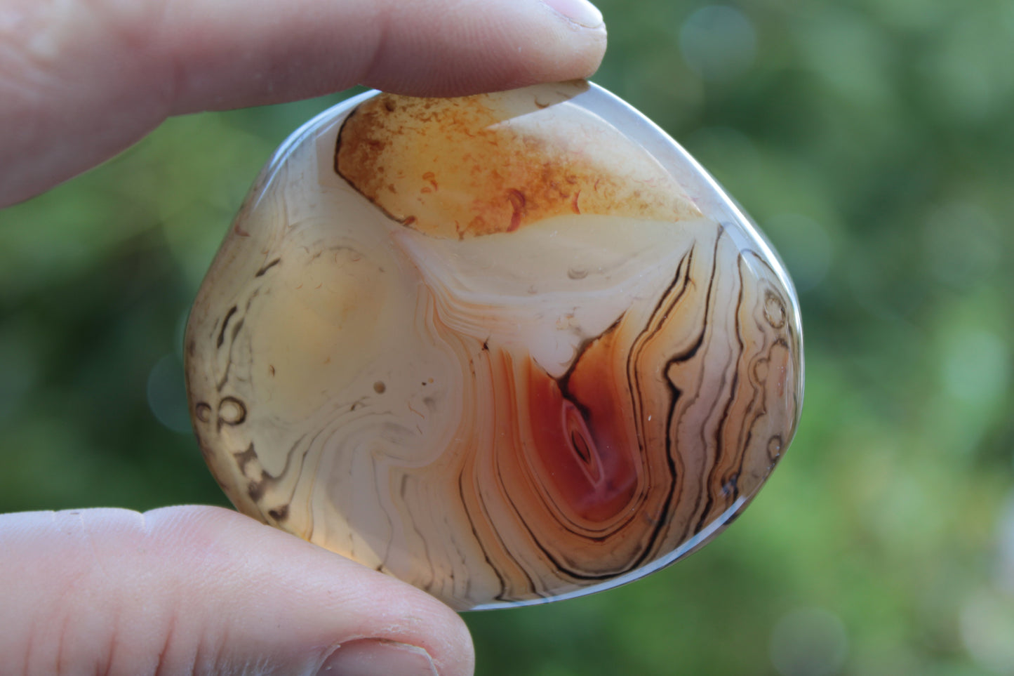 Crazy Lace Banded Sardonyx Agate 94g Rocks and Things