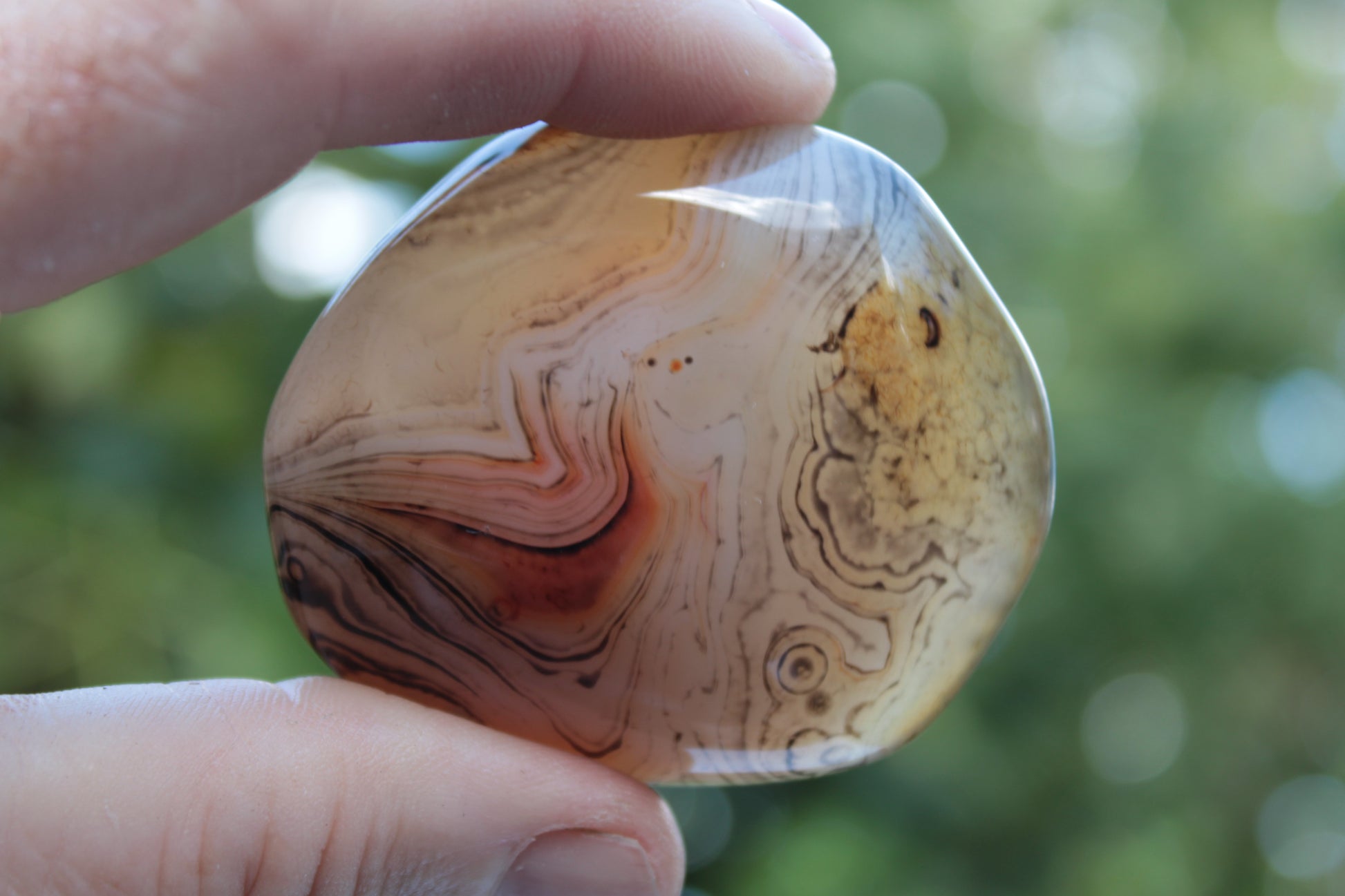 Crazy Lace Banded Sardonyx Agate 94g Rocks and Things