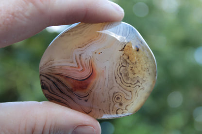 Crazy Lace Banded Sardonyx Agate 94g Rocks and Things