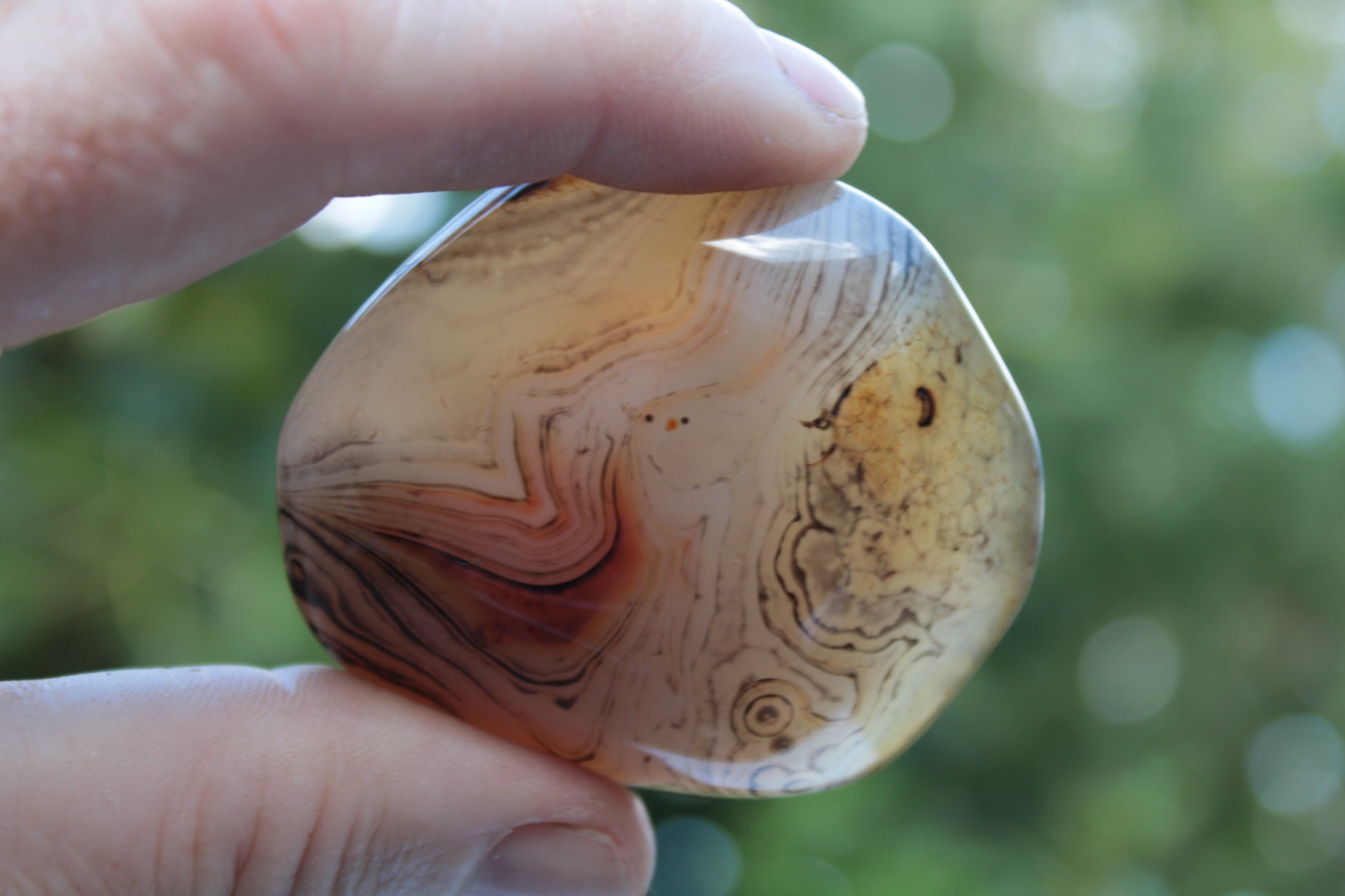 Crazy Lace Banded Sardonyx Agate 94g Rocks and Things