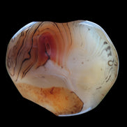 Crazy Lace Banded Sardonyx Agate 94g in sunlight - Rocks and Things Store