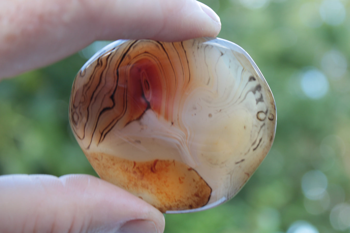 Crazy Lace Banded Sardonyx Agate 94g Rocks and Things