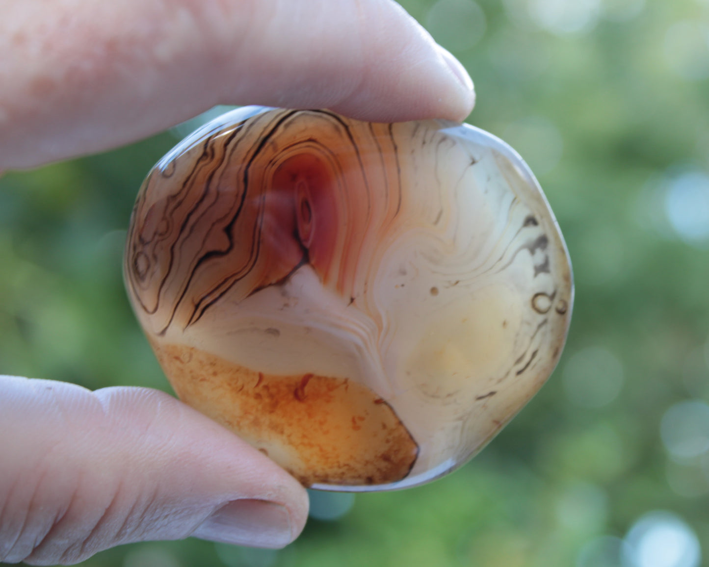 Crazy Lace Banded Sardonyx Agate 94g Rocks and Things