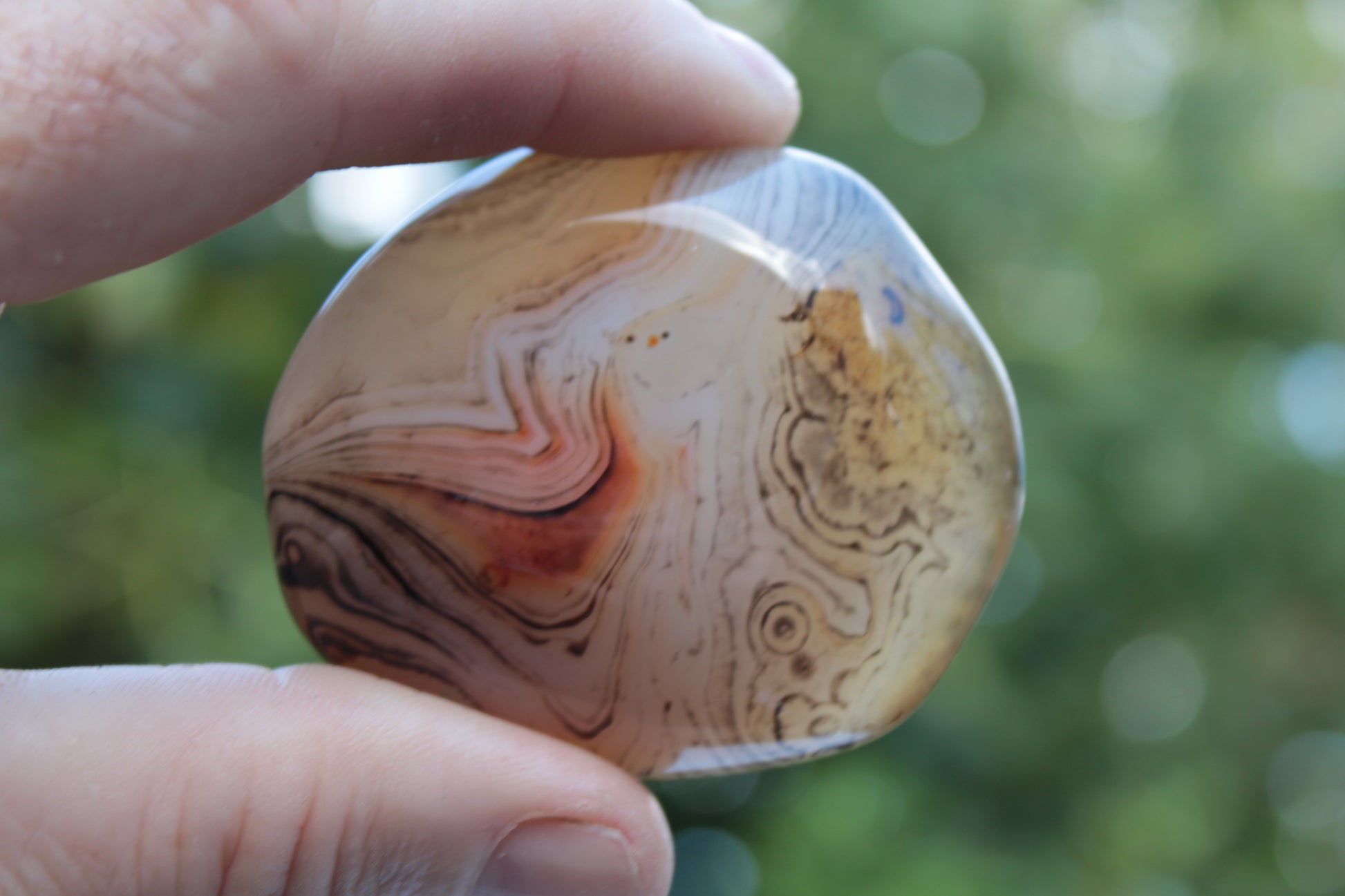 Crazy Lace Banded Sardonyx Agate 94g Rocks and Things