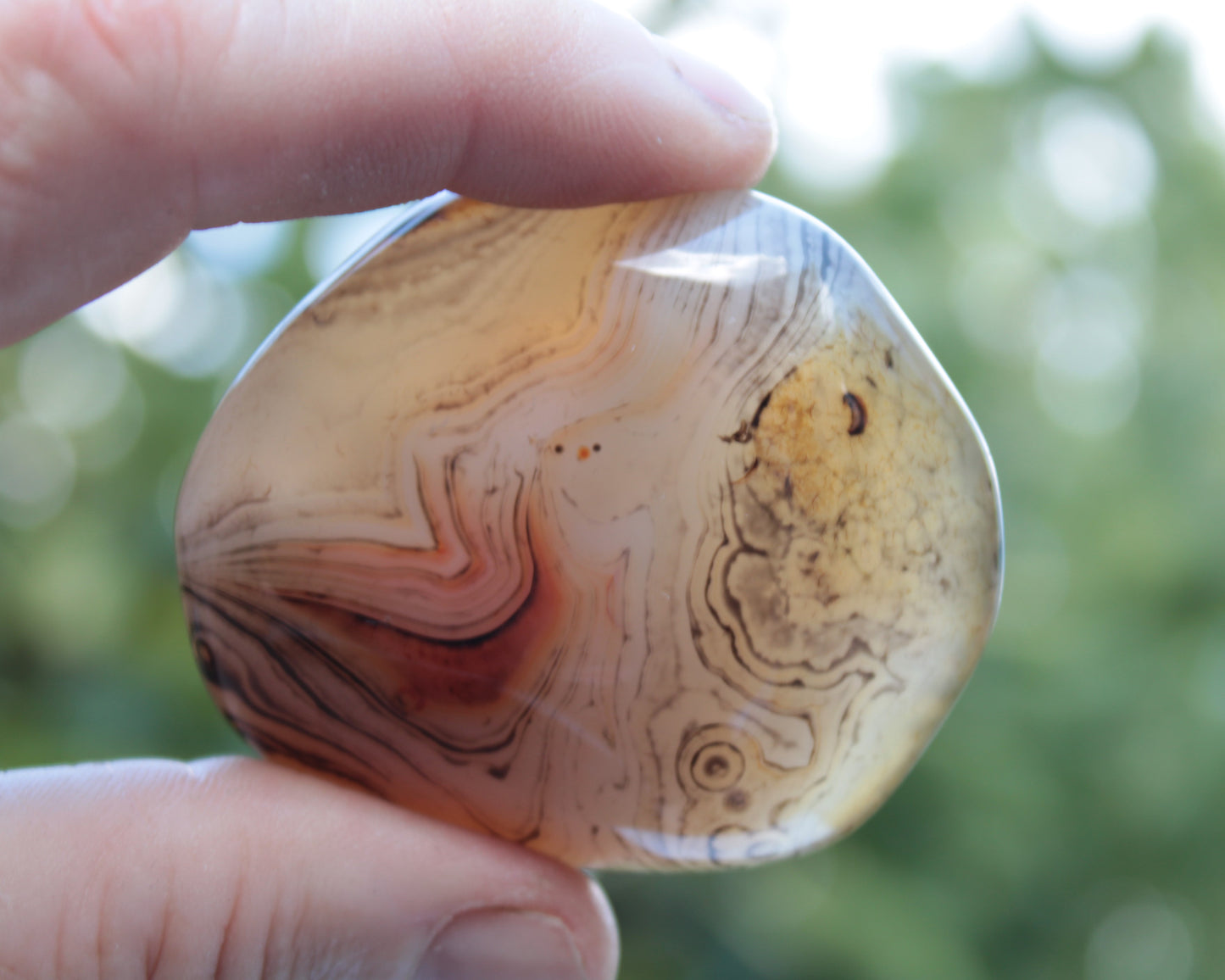 Crazy Lace Banded Sardonyx Agate 94g Rocks and Things