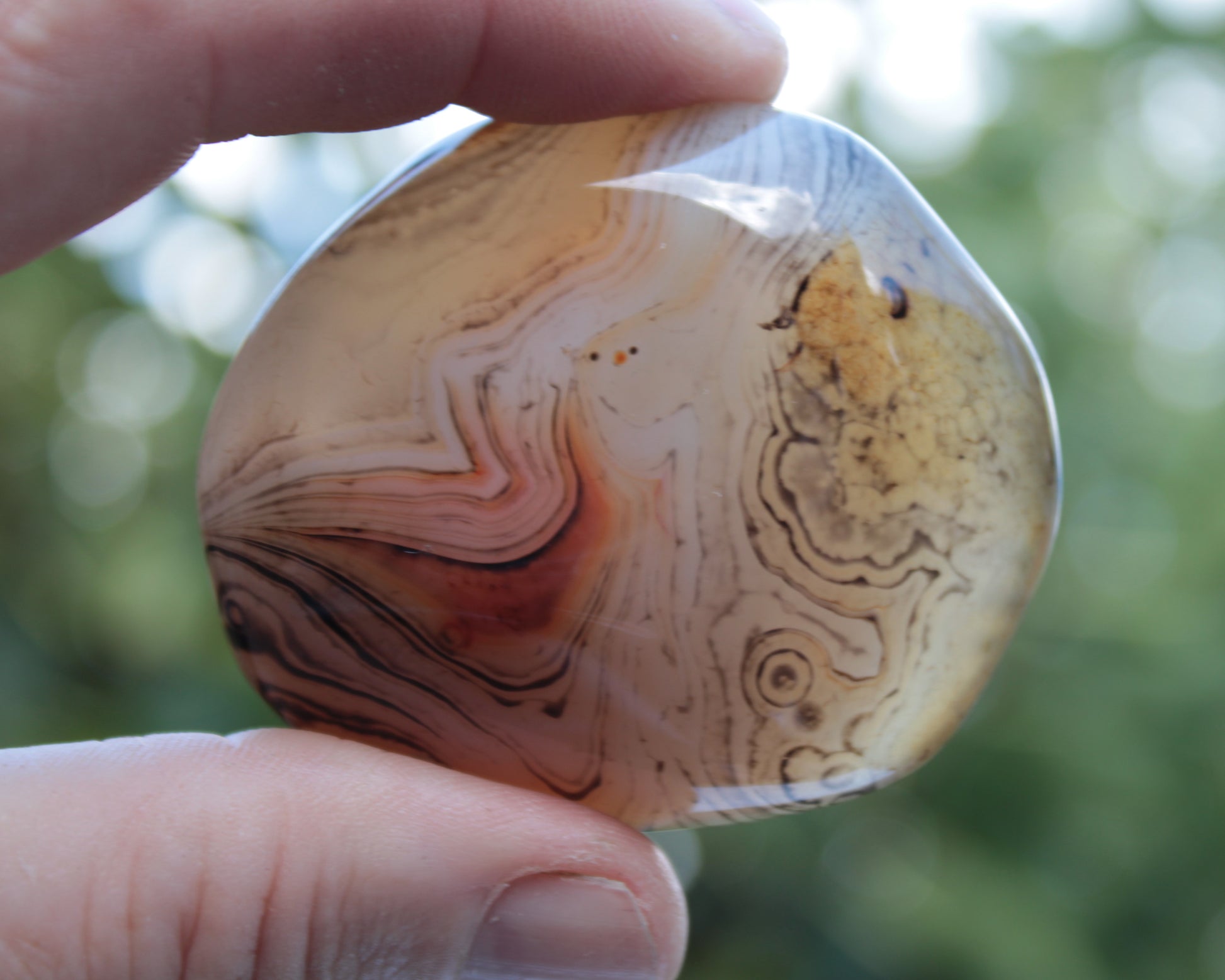 Crazy Lace Banded Sardonyx Agate 94g Rocks and Things