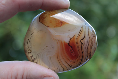 Crazy Lace Banded Sardonyx Agate 94g Rocks and Things