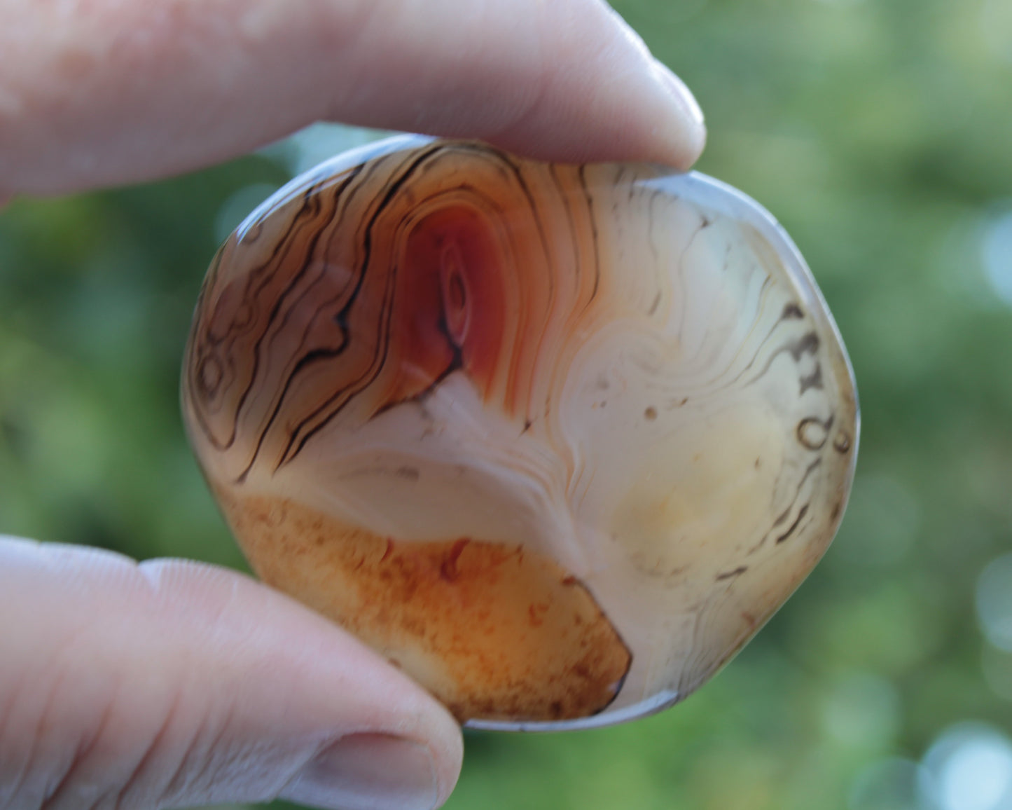 Crazy Lace Banded Sardonyx Agate 94g Rocks and Things