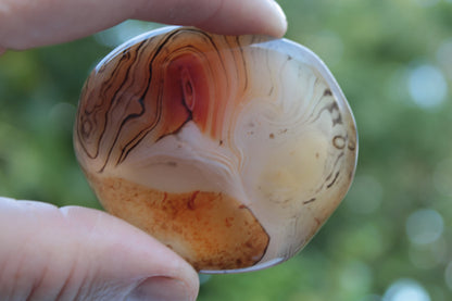 Crazy Lace Banded Sardonyx Agate 94g Rocks and Things