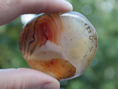 Crazy Lace Banded Sardonyx Agate 94g Rocks and Things