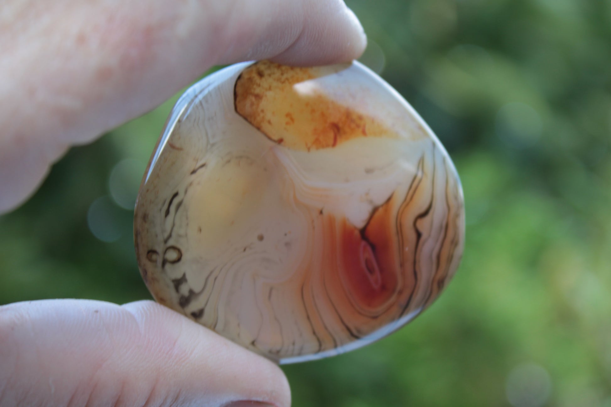 Crazy Lace Banded Sardonyx Agate 94g Rocks and Things