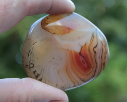 Crazy Lace Banded Sardonyx Agate 94g Rocks and Things