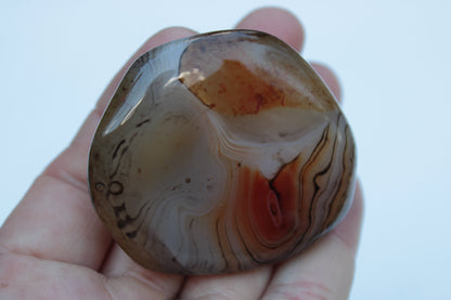 Crazy Lace Banded Sardonyx Agate 94g Rocks and Things