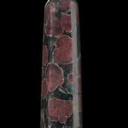 Garnet with Astrophyllite wand 119g  - Rocks and Things Store