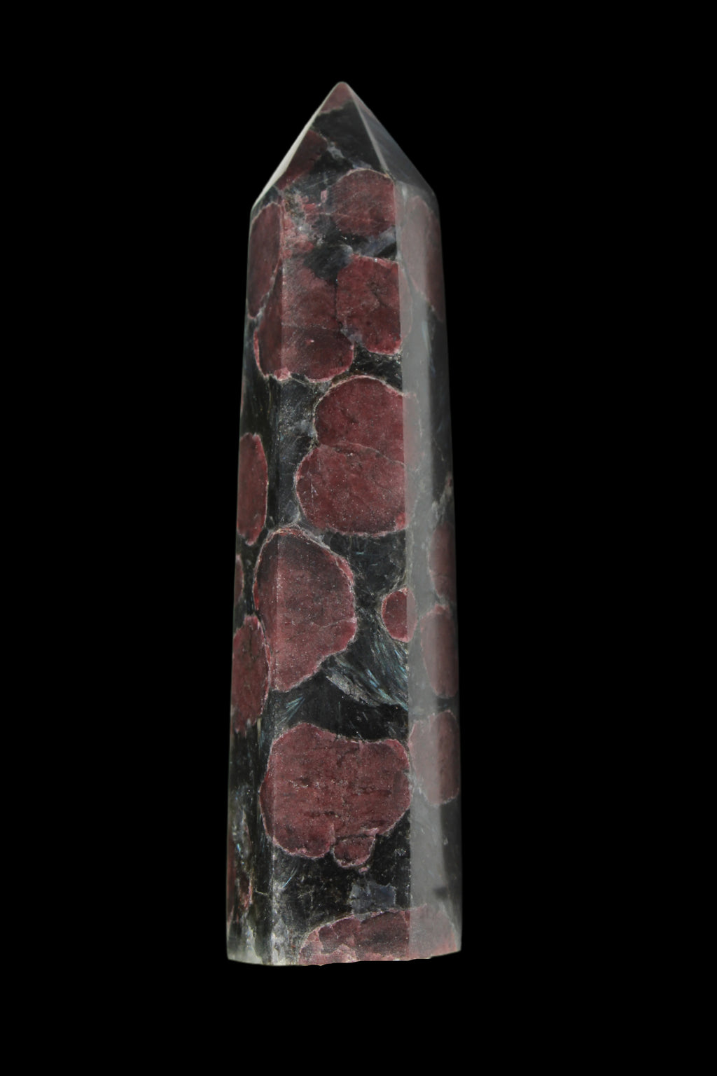 Garnet with Astrophyllite wand 119g  - Rocks and Things Store